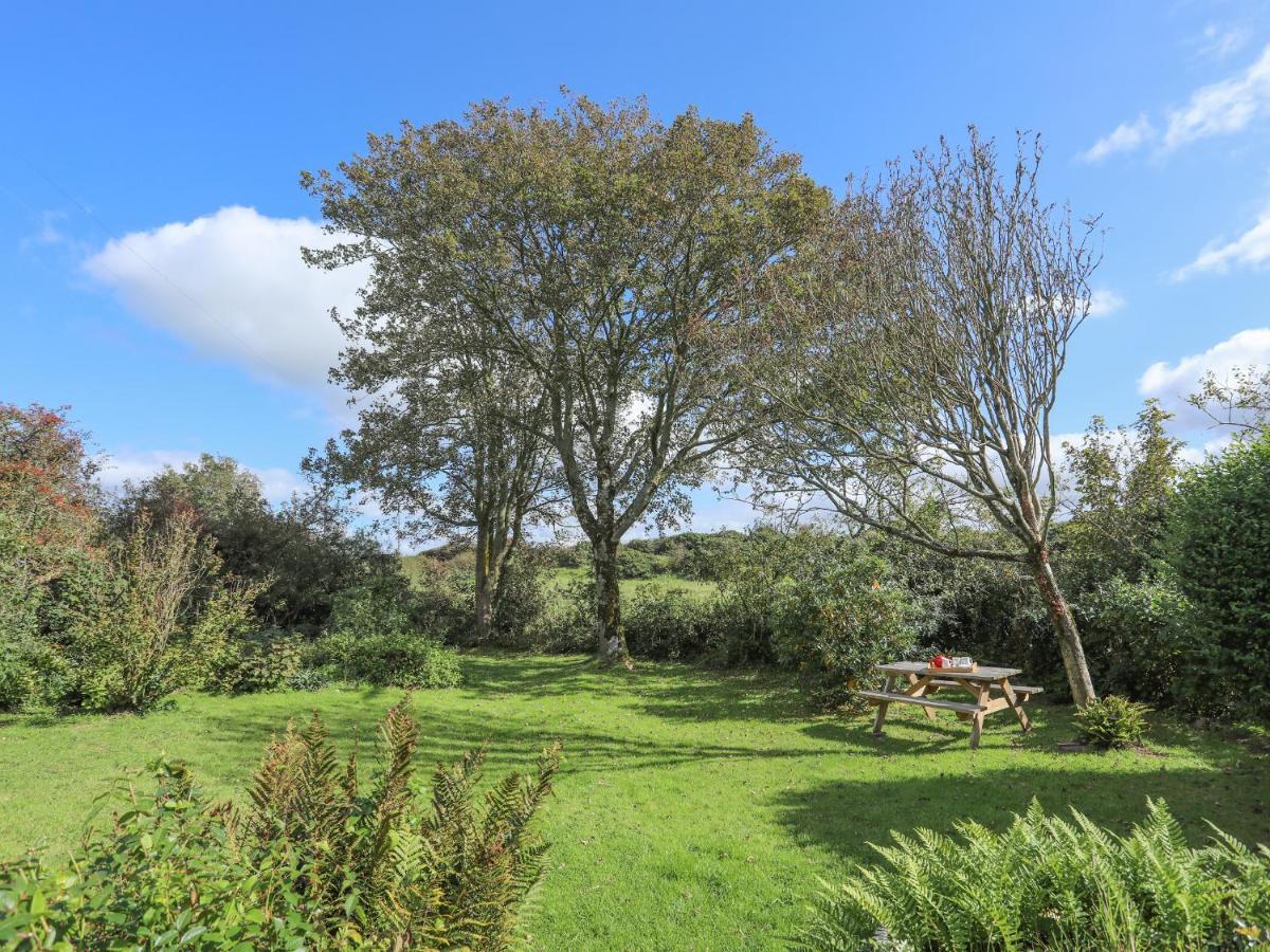 Bodorgan Ffrwd Cottage מראה חיצוני תמונה